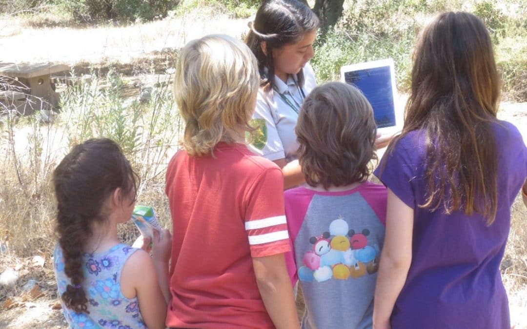 Attract visitors, utilizing unique tools to learn about nature