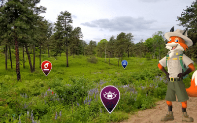 Albany Pine Bush Preserve