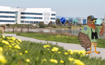 City of South San Francisco