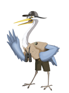 Great Blue Heron Avatar