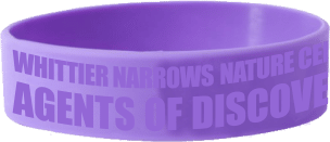 wristband-prize