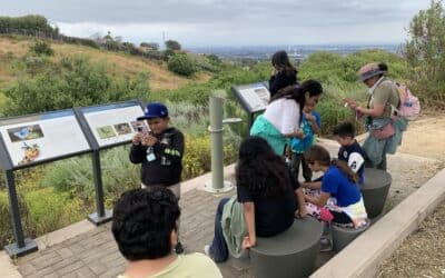 The Benefits of Outdoor Learning