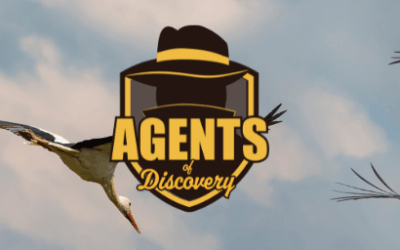 Field Agent Camera