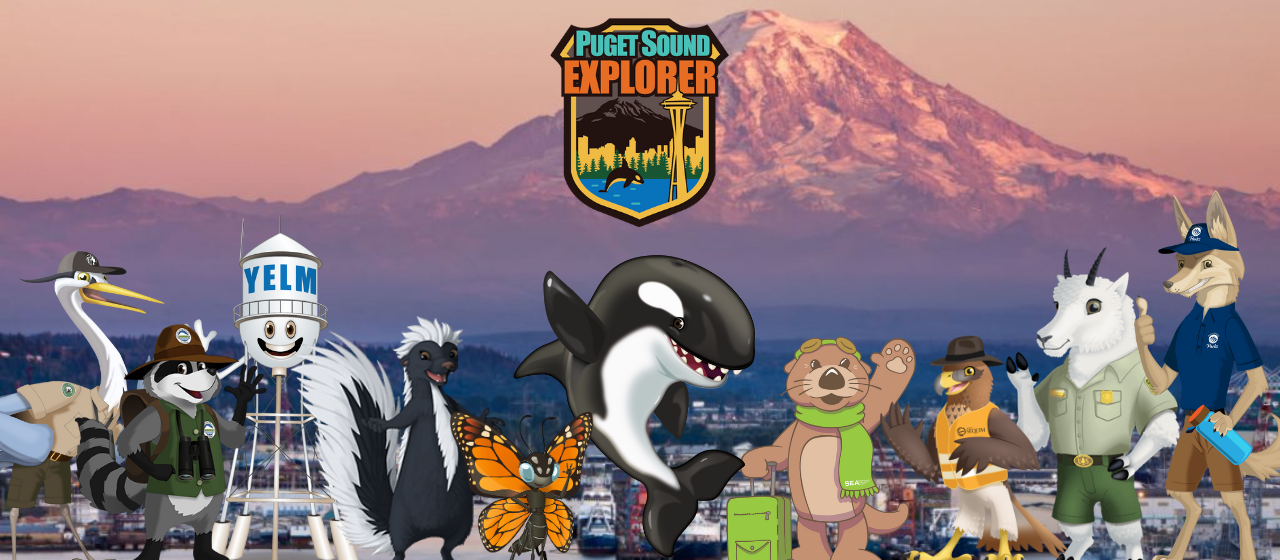 Puget Sound 4.0 Agents