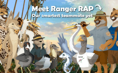 Introducing Ranger RAP